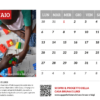 Calendario 2025 - immagine 3